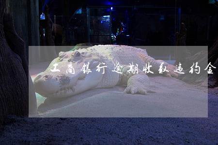 工商银行逾期收取违约金合理吗 工商银行逾期收取违约金合理吗