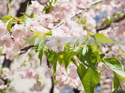 工商银行逾期正确处理方案 工商银行逾期正确处理方案