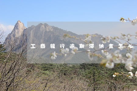 工商银行逾期滞纳金怎么算 工商银行逾期滞纳金怎么算