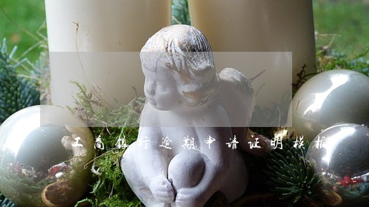 工商银行逾期申请证明模板 工商银行逾期申请证明模板