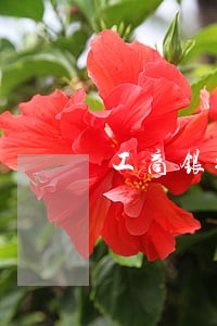 工商银行逾期短信通知模板 工商银行逾期短信通知模板
