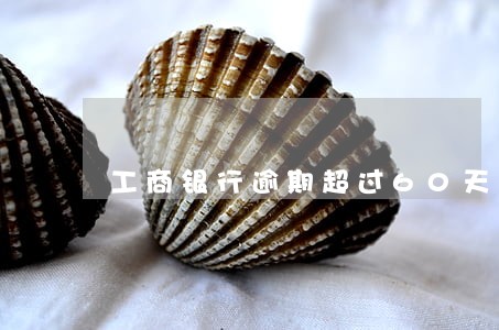 工商银行逾期超过60天 工商银行逾期超过60天