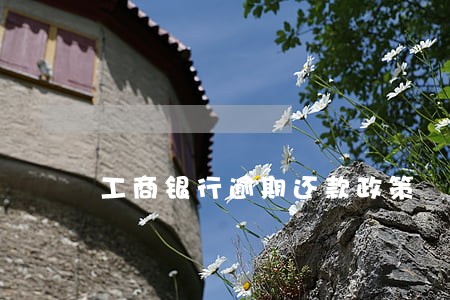 工商银行逾期还款政策 工商银行逾期还款政策