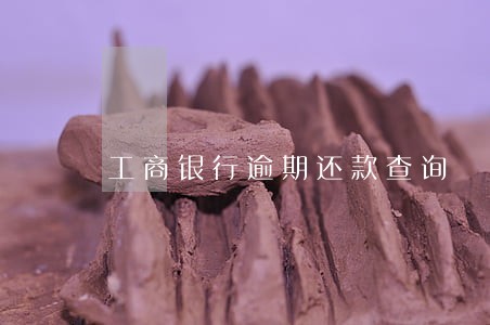 工商银行逾期还款查询 工商银行逾期还款查询
