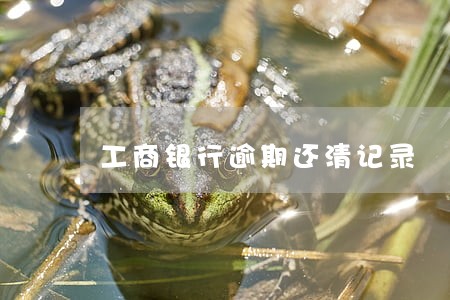 工商银行逾期还清记录 工商银行逾期还清记录