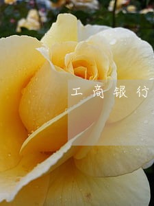 工商银行逾期部 工商银行逾期部