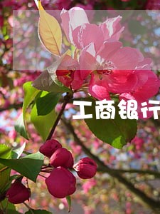 工商银行逾期重新办卡 工商银行逾期重新办卡