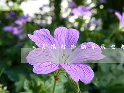 工商银行降额导致逾期