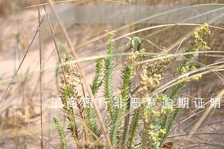 工商银行非恶意逾期证明办理 工商银行非恶意逾期证明办理