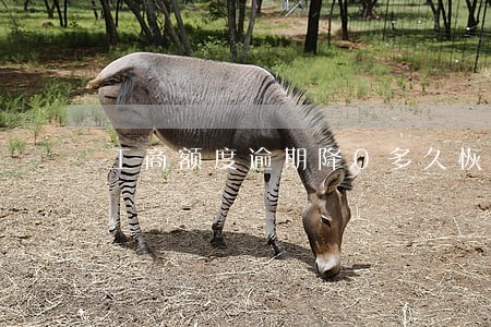 工商额度逾期降0多久恢复 工商额度逾期降0多久恢复