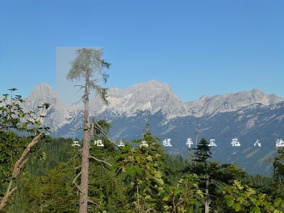 工地上工程车压死人法院判决 工地上工程车压死人法院判决