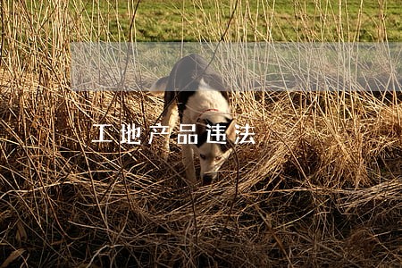 工地产品违法 工地产品违法