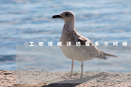 工地法院评估要多少时间 工地法院评估要多少时间
