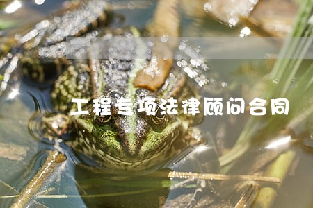 工程专项法律顾问合同 工程专项法律顾问合同