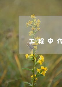 工程中介费收取的相关法规 工程中介费收取的相关法规