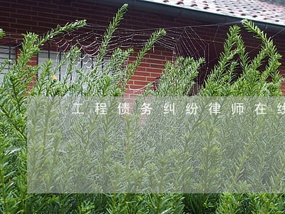 工程债务纠纷律师在线咨询 工程债务纠纷律师在线咨询