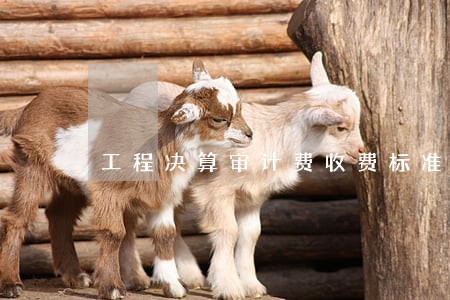 工程决算审计费收费标准 工程决算审计费收费标准