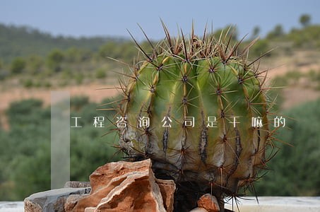 工程咨询公司是干嘛的 工程咨询公司是干嘛的