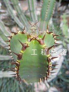 工程垫资法律咨询 工程垫资法律咨询