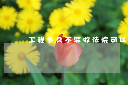 工程多久不验收法院可以判付全款 工程多久不验收法院可以判付全款