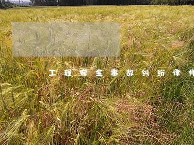 工程安全事故纠纷律师 工程安全事故纠纷律师