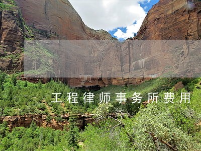 工程律师事务所费用