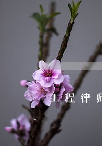 工程律师咨询在线解答 工程律师咨询在线解答