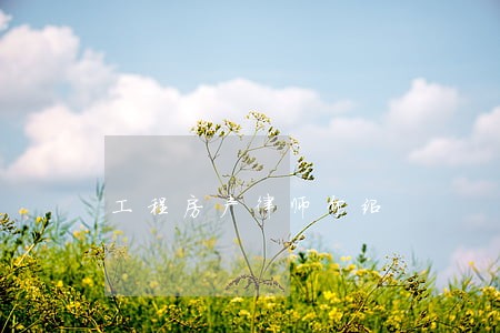 工程房产律师介绍