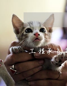 工程承包第三人参与诉讼申请书 工程承包第三人参与诉讼申请书