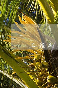 工程承包诉讼书范本