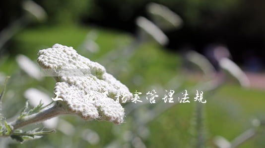 工程施工档案管理法规