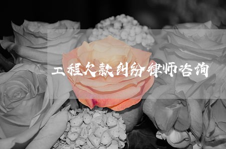 工程欠款纠纷律师咨询