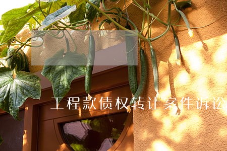 工程款债权转让案件诉讼技巧 工程款债权转让案件诉讼技巧