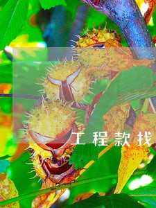 工程款找律师有接的吗 工程款找律师有接的吗