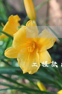 工程款法律咨询如何调解 工程款法律咨询如何调解