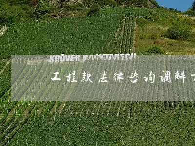工程款法律咨询调解方法 工程款法律咨询调解方法