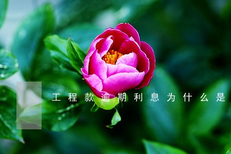 工程款逾期利息为什么是6 工程款逾期利息为什么是6