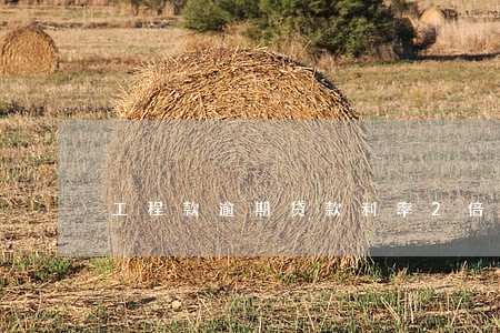 工程款逾期贷款利率2倍 工程款逾期贷款利率2倍