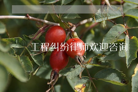 工程纠纷律师欢迎咨询 工程纠纷律师欢迎咨询