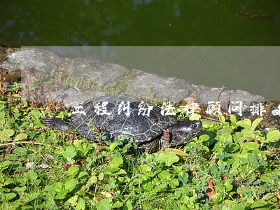 工程纠纷法律顾问排名