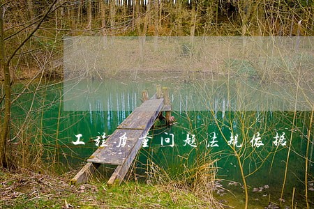 工程质量问题法规依据