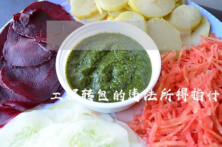 工程转包的违法所得指什么 工程转包的违法所得指什么