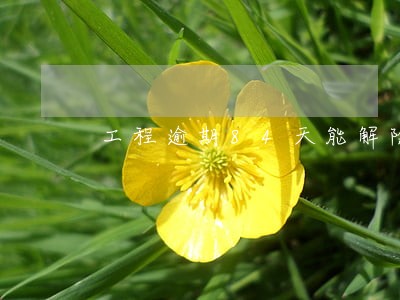 工程逾期84天能解除合同 工程逾期84天能解除合同