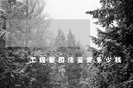工程量司法鉴定多少钱 工程量司法鉴定多少钱