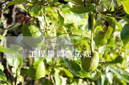 工程量调查法规 工程量调查法规