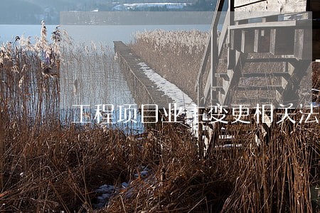 工程项目业主变更相关法规