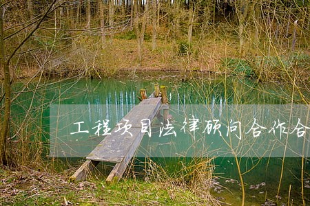 工程项目法律顾问合作合同范本 工程项目法律顾问合作合同范本