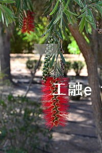 工融e借逾期一期 工融e借逾期一期