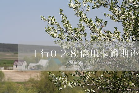 工行028信用卡逾期还款后果 工行028信用卡逾期还款后果