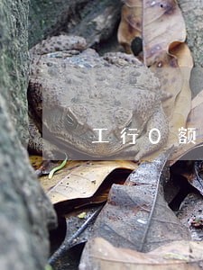 工行0额度信用卡逾期 工行0额度信用卡逾期